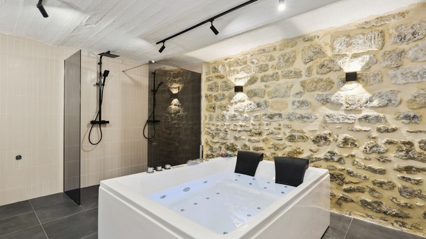 Maisons Alfort 5 Luxurious apartment with private garden and Jacuzzi
